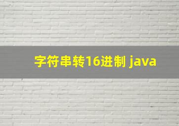 字符串转16进制 java